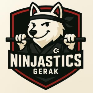 NINJASTICS